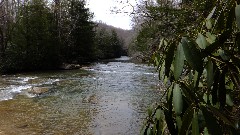 Meadow Run Trail PA