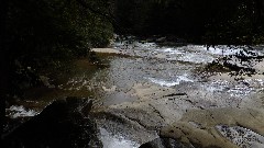 Day; Meadow Run Trail PA