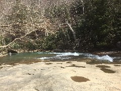 Meadow Run Trail Ohiopyle, PA