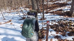 Ruth Bennett McDougal Dorrough; Mendon Ponds