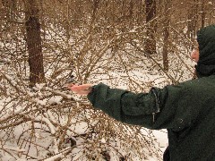 Ruth Bennett McDougal Dorrough; Hiking; Day Trips; Mendon Ponds; Chickadee bird;