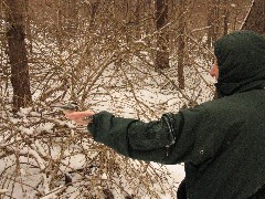 Ruth Bennett McDougal Dorrough; Hiking; Day Trips; Mendon Ponds; Chickadee bird