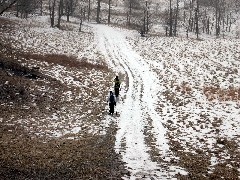 Mendon Ponds Day Trips Hiking