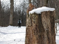 Mendon Ponds Day Trips Hiking