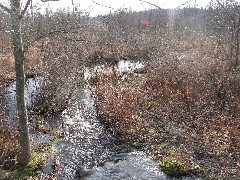 Mendon Ponds Park