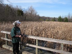 Ruth Bennett McDougal Dorrough; Mendon Ponds Park