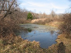 Mendon Ponds Park