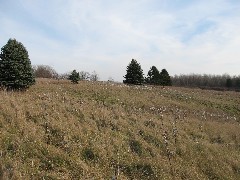 Mendon Ponds Park