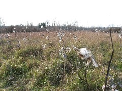 Mendon Ponds Park