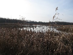 Mendon Ponds Park