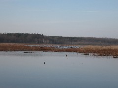 Mendon Ponds Park