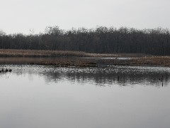 Mendon Ponds Park