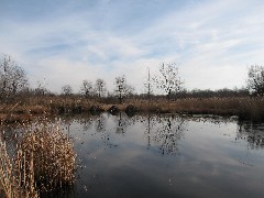 Mendon Ponds Park