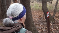 Ruth Bennett McDougal Dorrough; orienteering; Mendon Ponds