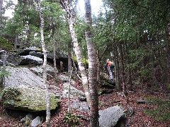 Ruth Bennett McDougal Dorrough; Pumpelly Trail; Monadnock Mountain NH