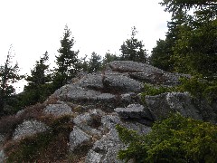 Pumpelly Trail; Monadnock Mountain NH