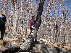 Katherine (Kat) McDougal Wheeler McCandless; Monadnock Mountain NH