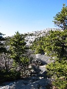 White Dot Trail Monadnock Mountain NH; rotated