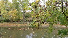 Darby Creek Trail