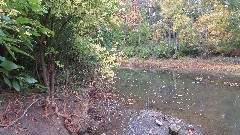 Darby Creek Trail