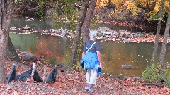 Ruth Bennett McDougal Dorrough; Darby Creek Trail