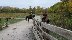 horses; Darby Creek Trail