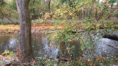 Darby Creek