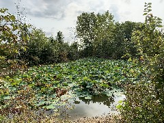 Franks Park - Mudsock Trail