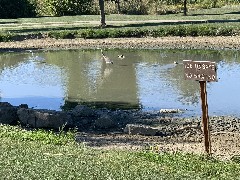 Franks Park - Mudsock Trail