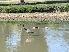 Franks Park - Mudsock Trail