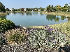 Franks Park - Mudsock Trail