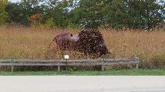 Bison Statue; Battelle Darby Creek, Galloway, OH