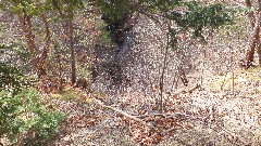 Onanda Park; Lower Falls