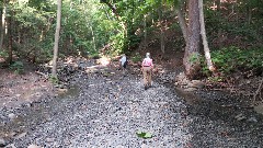 Lyn Jacobs; Ruth Bennett McDougal Dorrough; Grimes Creek, NY