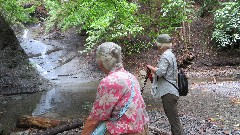 Ruth Bennett McDougal Dorrough; Lyn Jacobs; Onanda Park Upper Falls, NY