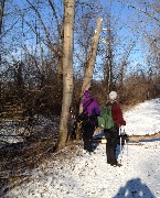 Lyn Jacobs; Ruth Bennett McDougal Dorrough; Ontario Pathways