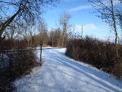 Ontario Pathways- Goose Street