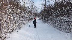 Ruth Bennett McDougal Dorrough; Day Trips; Ontario Pathways