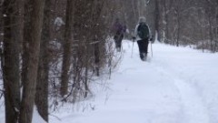 Lyn Jacobs; Ruth Bennett McDougal Dorrough; Ontario Pathways