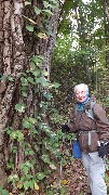 Ruth Bennett McDougal Dorrough; Ontario Pathways; Three Sisters tree, NY