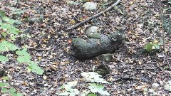 Stone Bear; Ontario Pathways, NY