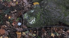 Stone Bear; Ontario Pathways, NY