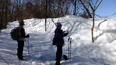 Ruth Bennett McDougal Dorrough; Lyn Jacobs; Ontario Pathways