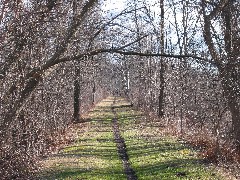 Day Hiking Ontario Pathways Trips