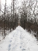 Day Hiking Ontario Pathways Trips