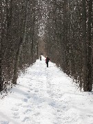 Day Hiking Ontario Pathways Trips