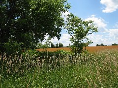 Ontario Pathways; Rt 5,20 -> Stanley