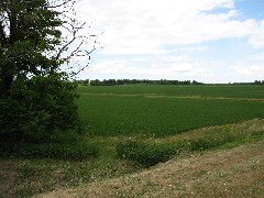 Ontario Pathways; Rt 5,20 -> Stanley