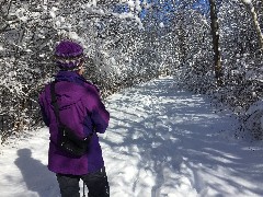 Lyn Jacobs; Ontario Pathways, NY