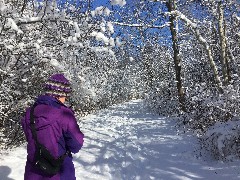 Lyn Jacobs; Ontario Pathways, NY